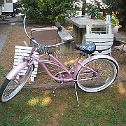 Picture 003